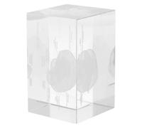 TOBBOMEY Fermacarte Anatomico in Cristallo 3D Incisione del Cervello Umano, Didattica Dettagliata per Studenti di Medicina e Scienze, Decorazione Elegante per Ufficio e Casa