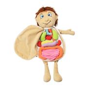 TOBBOMEY Peluche Forma Di Organo Corporeo Per Ragazzo Ragazza Didattico e Educativo Per Imparare Nomi e Posizione Degli Organi Umani Sicuro e Durevole