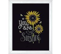 Tobin Design Works Grafico Punto Croce per un'immagine, Pannello Sunshine 14 Conte Aida Punto Croce, Nero, Multicolore, Colore
