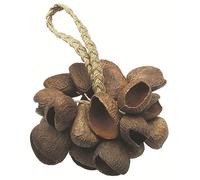 Toca To804444 T-Ss Seed Shell Shaker con Manico