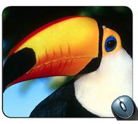 toco Toucan Mouse pad rettangolo personalizzato, gomma antiscivolo stampata Tappetino per mouse mouse pad confortevole con personal computer mouse pad