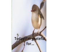 Today i'm grateful for...: Power of gratefulness