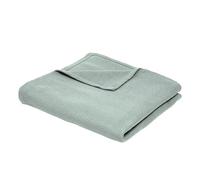 Today Plaid, coperte Jeté de Lit Nid d'Abeille 150/200 Coton TODAY Essential Celadon in Verde 150x200 cm