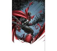 Todd McFarlane Brian Holguin Spawn: Origins Volume 19 (Tascabile)