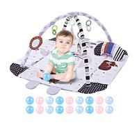 Toddler Activity Mat, Activity Center with Sea Balls and Detachable Toys, Washable Kids Activity Mat, Early Learning Toy for Visual, Hearing, Sensory, Motor Development for Babies and