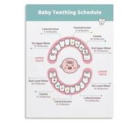 Toddler Teeth Growth Poster Teething Fever vs Normal Symptoms Guide for Home