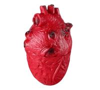 Toddmomy 1 Pezzo Di Finto Cuore Di Scena: Cuore Realistico Insanguinato Decorazione Di Halloween Simulazione Di Del Corpo Umano Per Forniture Per Feste