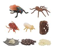 Toddmomy 2 set Educativi Insetti per Cicala Giocattoli Cognitivi per Apprendimento Naturale e Sviluppo Competenza