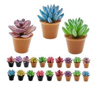 Toddmomy 24 Mini Vaso Decorativo Succulento Fiori Fatti A Mano Mini Cactus Vasi Succulenti Piccole Succulente Piante In Miniatura Vaso Di Fiori In Miniatura