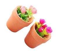 Toddmomy 2pezzi Mini Potted Bonsai Plants for Dollhouse Decoration Realistic Tiny Greenery Accessories for Creative Landscaping
