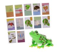 Toddmomy 4D Staccabile per Bambini Educativo l'Apprendimento dell'Anatomia Kit Didattico per Scuole e Insegnanti