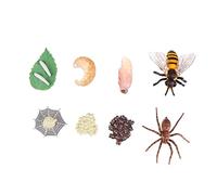 Toddmomy 8 pezzi Modelli di Evoluzione Insetti Resistente Simulazione Ciclo di Crescita di Api e Ragni Decorazioni Educative
