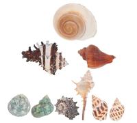 Toddmomy 9pezzi Decorazione Naturale per Acquario Conchiglie per Crustacei e Accessori per Paesaggi Acquatici Ornamentazione Realistica e Versatile per Serbatoi e Piante Acquatiche
