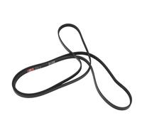 Toddmomy Cinghia in Gomma Multirib per Tamburo Asciugatrice Sostituzione Resistente e Silenziosa per Modelli Compatibili Facile da Installare per Manutenzione Efficiente