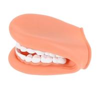 Toddmomy Denti Umani per Insegnamento Dente Standard per Realistico e Sicuro per Insegnare Orale dei Denti