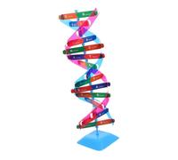 Toddmomy Dna Doppia Kit Didattico per Assemblaggio Manuale per Biologia Educazione Interattiva
