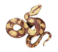 Toddmomy Giocattoli Python Simulati Figurina Di Serpente Realistica Giocattolo Serpente Simulato Serpente Finto Realistico Giocattolo Realistico Di Finti Pvc Brown