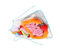 Toddmomy Grembiule Anatomia Organi Umani Per Ragazzo Ragazza Rimovibile Supporto Didattico Per Asilo e Scuola Per L'infanzia Educazione Precoce e Apprendimento Giocoso