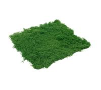 Toddmomy Muschio Filamentoso Simulato Realistica Finta Realistica Mini Muschio Artificiale da Giardino Decorazioni Felci Piante Artificiali All'aperto Cotone Perlato Verde