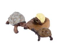 Toddmomy Set 4 Statuette del Ciclo delle Tartarughe per Cognitivo Realistico Decorazione Didattica per Casa e Scuola