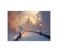 TODOAA Natura Paesaggio invernale Quadri su tela Poster di paesaggi notturni invernali Foresta di neve, Quadri Moderni Murale da parete Decorazioni da parete soggiorno-30x40cm Non incorniciato