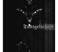 Todtgelichter Was Bleibt../Schemen (Vinyl LP)