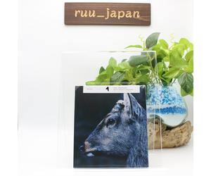 toe-The Book About My Idle Plot On A Vague Anxiety-CD Reissue Japan New