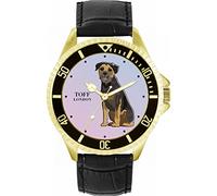 Toff London Border Terrier cane da guardia
