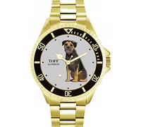 Toff London Border Terrier cane da guardia