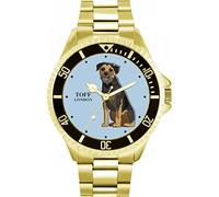 Toff London Border Terrier cane da guardia
