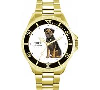 Toff London Border Terrier cane da guardia