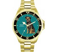 Toff London Border Terrier cane da guardia