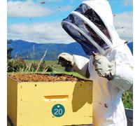 Tofficu Cartelli Numerici per Alveari da 1 a 20, Etichette Numerate per Apicoltura Resistenti All’usura, 20 Pezzi Marchio Identificativo per Gestione Professionale degli Colore Casuale