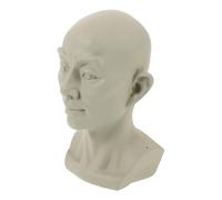 Tofficu Statua Realistica del Busto di Un Teschio Sussidio Didattico per Artisti Figurina di Busto