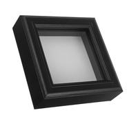 TOGEVAL Vetrina per Insetti Coperchio Trasparente 152X152 CM Cornice per Campioni di Farfalle e Insetti Teca Entomologica da Tavolo per Esposizione e Collezione Educativa