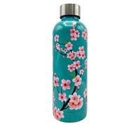 Tognana Japan Collection, borraccia 500 cc, acciaio inox, verde acqua