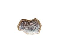 Tognana Reef, piatto ovale Marine in porcellana - 30x20 cm Reef, piatto ovale Marine in porcellana - 30x20 cm