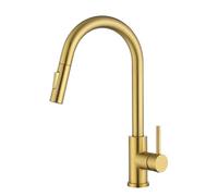 Tohlar Rubinetti da cucina dorati con spruzzatore estraibile, rubinetto moderno per lavello da cucina in acciaio inox monocomando rubinetto da cucina con piastra di copertura, oro spazzolato