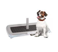 Toilette Educativa per Addestramento Cuccioli con Vassoio Antiscivolo - 0600F