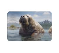 Toiyugd Zerbino con motivo tricheco, 40,6 x 61 cm, antiscivolo e facile da usare, adatto per porta d'ingresso, tappetini, soggiorno, bagno