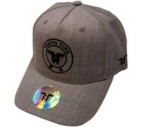 Tokyo Time Core Cappellino da Baseball Logo (Taglia Unica) (Grigio)