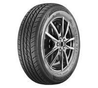 Toledo TL 1000 205/60R15 91V