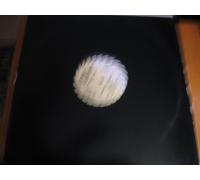 Tolga - Leave It All Behind