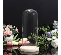 TOLIDA Cupola di vetro con base in legno naturale, 12,5 x 26 cm, robusta, decorazione per rose, aromaterapia, candelabro, catena luminosa, come regalo per moglie, matrimonio, San Valentino, Natale