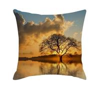 Tolldek Confezione da 1 federa per cuscino, tramonto con albero e lago, cuscino decorativo per divano, effetto lino, di alta qualità, con chiusura lampo, decorazione per la casa, marrone arancione, 45