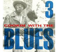 Toller Blues, der einem durch und durch geht - Mundharmonika, Banjo --- alles dabei (CD Compilation, 15 Titel, Diverse Künstler)