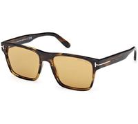 Tom Ford FT1205 CALDER C55 56E - Habana colorido / Habana colorido