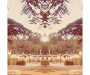 Tom James Scott Nightshade (Vinyl LP) 12" Album