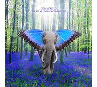 Tom Morello The Atlas Underground Flood 12" Album Coloured Vinyl