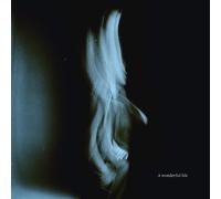 Tom Odell A Wonderful Life (Vinyl LP) 12" Album Coloured Vinyl